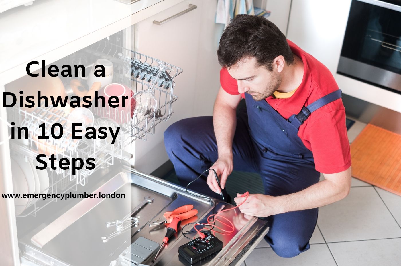 10 Easy Steps to Clean Your Dishwasher