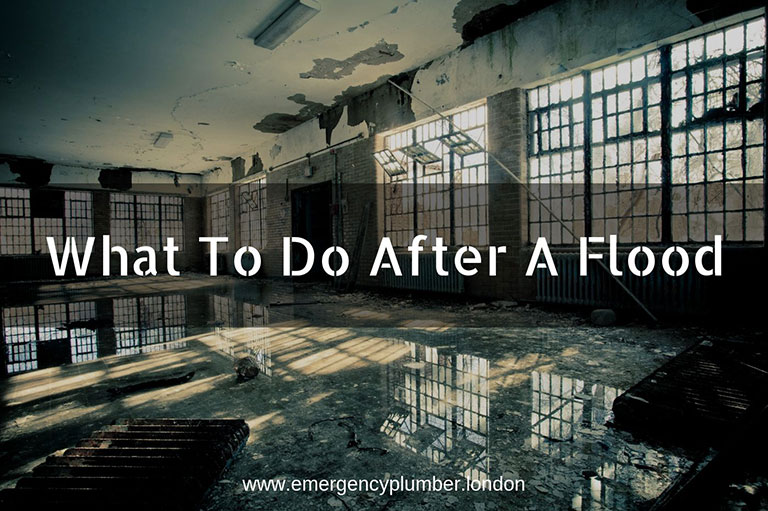 What To Do After A Flood